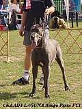 LADY LAGUNA Amigo Perro.FCI
