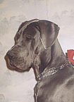 PRYMUS - 8 months