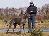 PAKO - 10 & 1/2 months